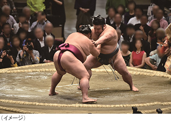 令和7年 大相撲 九月場所