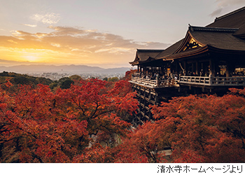 世界遺産「清水寺」非公開場所を僧侶のご案内で巡る特別拝観