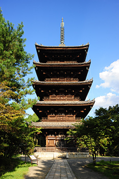 世界遺産仁和寺を僧侶がご案内 青もみじ雲海ライトアップ鑑賞･特別拝観