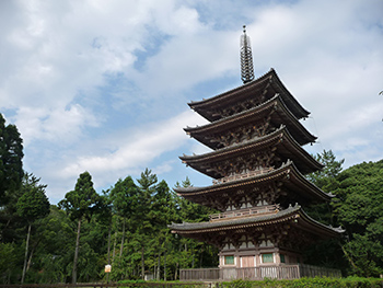 世界遺産醍醐寺 僧侶ご案内・特別拝観のチケット情報
