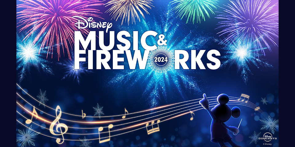 DisneyMusic＆Fireworksチケット2枚 花火