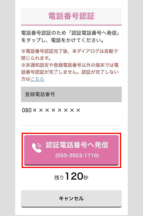 STEP1-参考画像