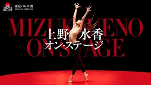 ��쐅���I���E�X�e�[�W�i�����E���j